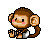 Baby monkey