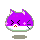 Purple kitty