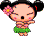 Hawaiian Pucca